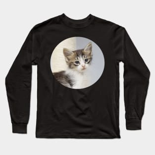 shelter kitten Long Sleeve T-Shirt